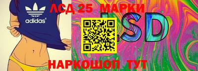 PSILOCYBIN Кунгур