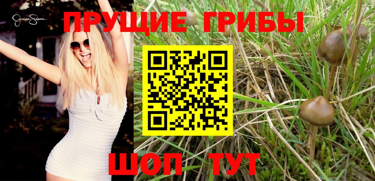 Галлюциногенные грибы мицелий Дивногорск