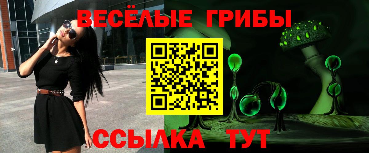 Галлюциногенные грибы MAGIC MUSHROOMS  Вход с VPN  Дивногорск 